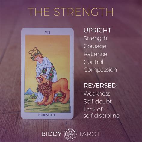 Strength – Tarot Card Meaning – Major Arcana Card。